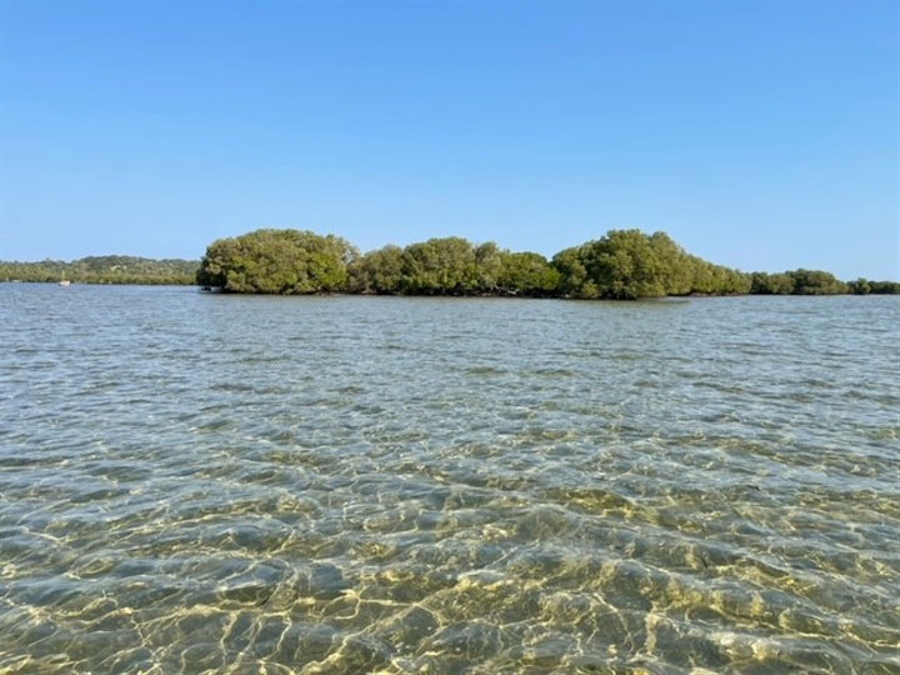 Inhaca island South End