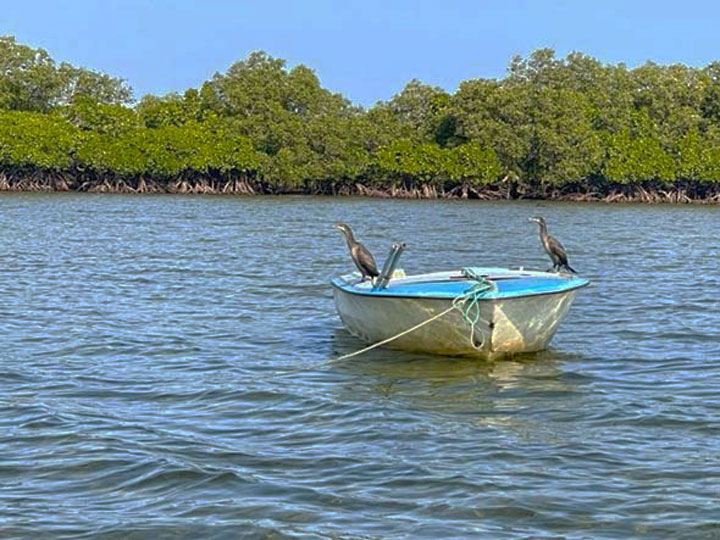 Image Kayaking page link