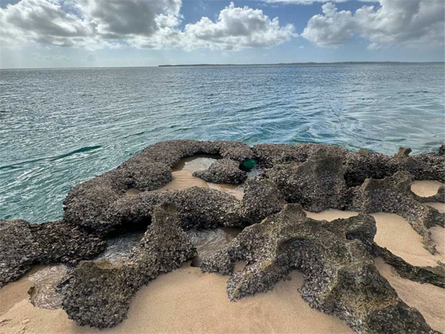 Snorkelling Sites Inhaca Island 2
