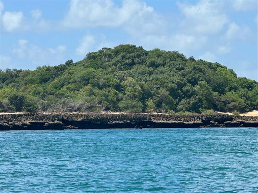 Snorkelling Sites Inhaca Island 5